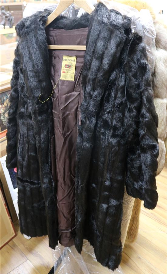 A Musquash fur coat another coat and assorted collars